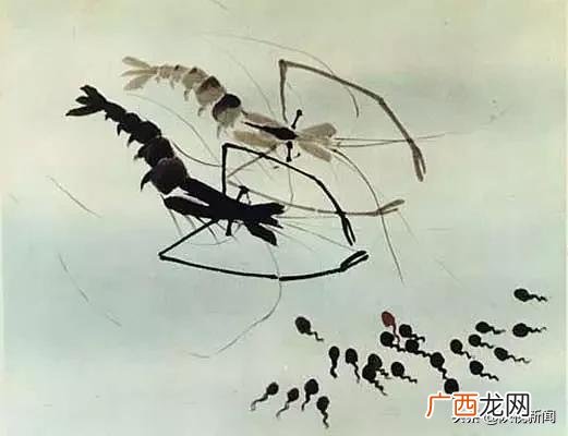 怎么样才能上创业中国人节目,创业中国人 倔强的小鱼