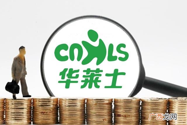 华莱士加盟多少钱 华菜土在哪