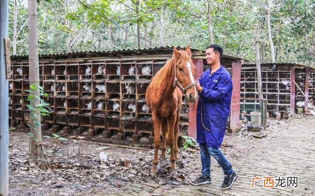 养多少狗一年赚二十万 创业犬舍