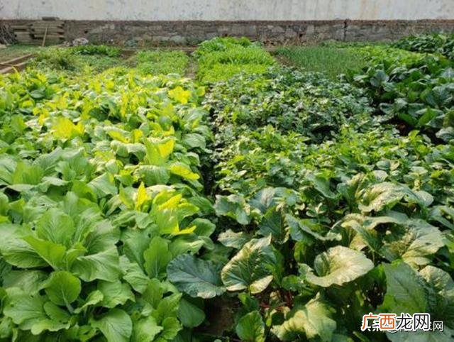 创业加盟网,创业加盟项目有哪些
