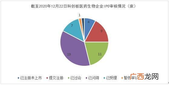 2020年科创板上市名单,创业板试点注册制什么时候开始