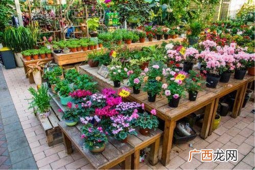小型花店创业计划书,花店创业者团队简介
