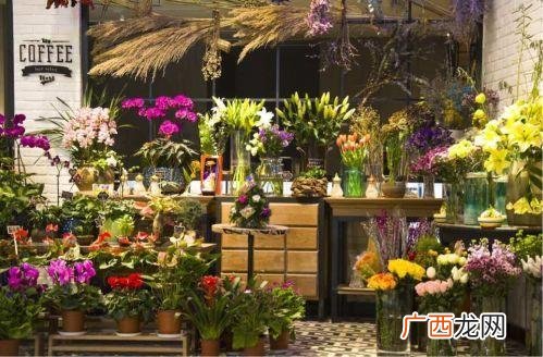 小型花店创业计划书,花店创业者团队简介
