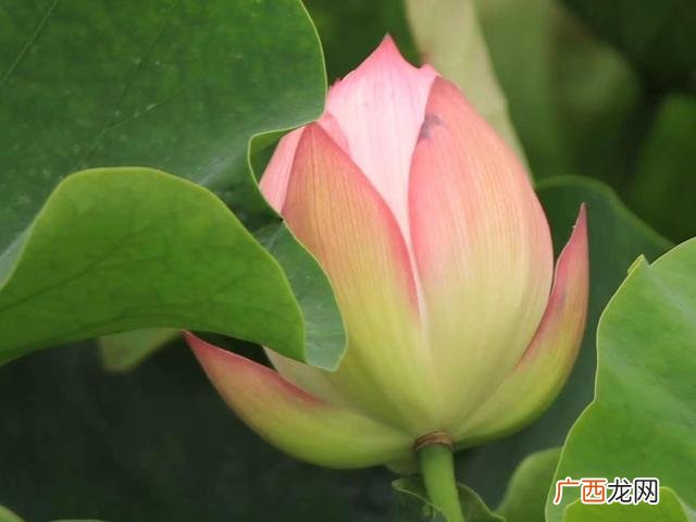 商业模式的价值体现在哪里 商业模式中价值包括