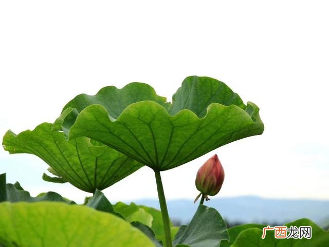 商业模式的价值体现在哪里 商业模式中价值包括