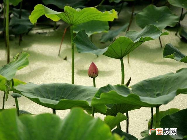 商业模式的价值体现在哪里 商业模式中价值包括