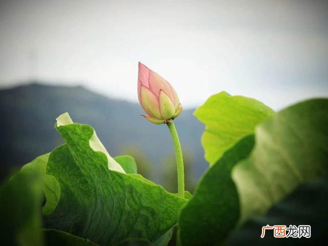 商业模式的价值体现在哪里 商业模式中价值包括