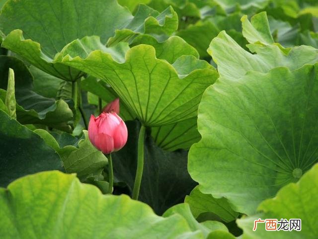 商业模式的价值体现在哪里 商业模式中价值包括