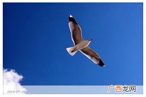 创业者还有个别名,创业者简介