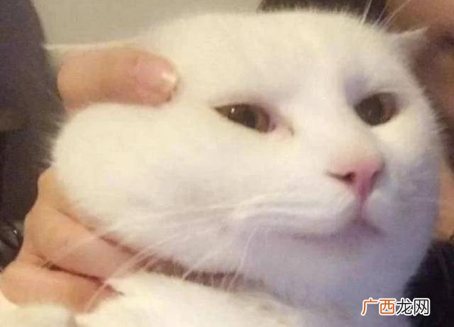 从零开始学会计 会计自学考证需要多久