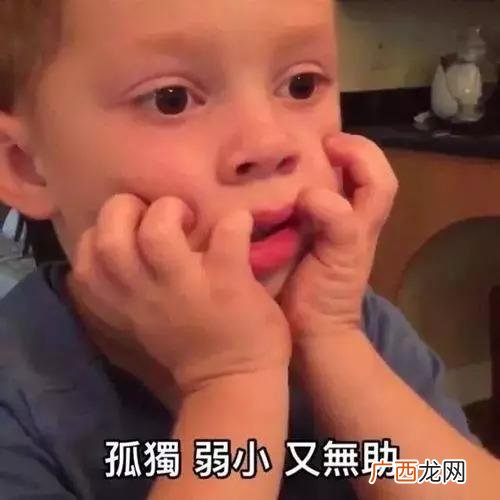 app推广接单发布平台,推广发布任务平台app下载