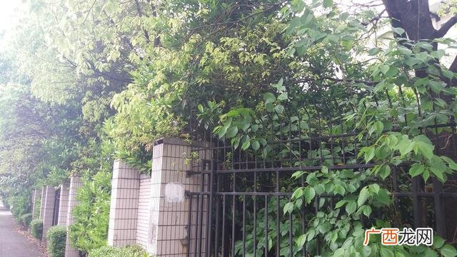 上海张杨南苑 张江汤臣豪园四期人才公寓
