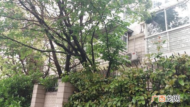 上海张杨南苑 张江汤臣豪园四期人才公寓