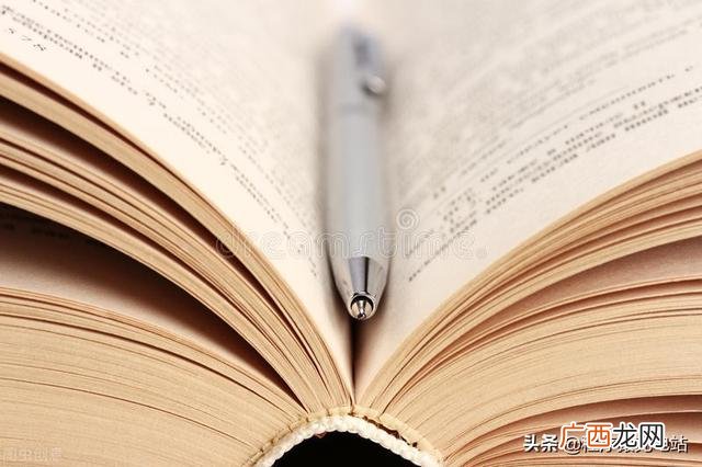 it项目经理是不是都不懂技术,软件项目经理需要懂技术吗