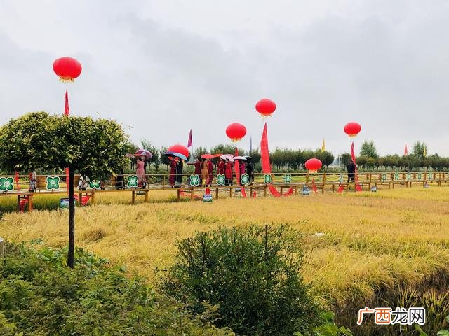 天赐空间-农家辣妻种田忙,空间小厨娘