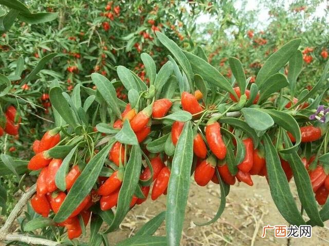 个人项目 怎样众筹,个人创业如何众筹资金