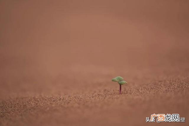 微商的几种创业模式有 怎么做微商创业成功故事