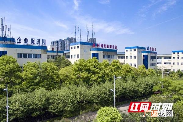 孵化器模式基本要素 企业孵化器运营模式