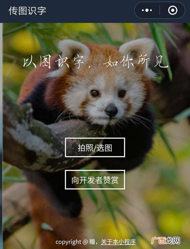 利用微信赚钱的5种方法 微信赚钱小程序有哪些游戏