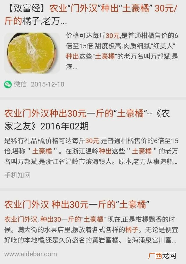 创业散文,农田创业文章