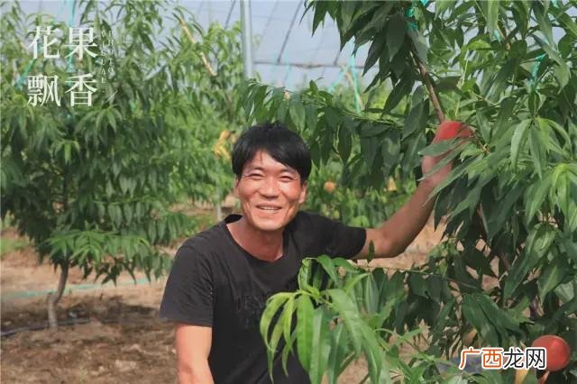 创业散文,农田创业文章