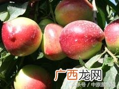 巴楚县图木舒克监狱地址 图木舒克监狱