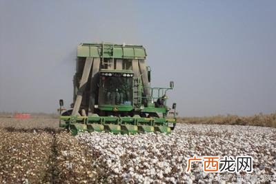 巴楚县图木舒克监狱地址 图木舒克监狱