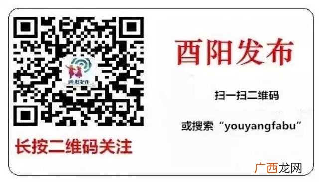 我的创业故事,酉阳创业故事