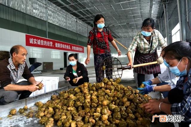 我的创业故事,酉阳创业故事