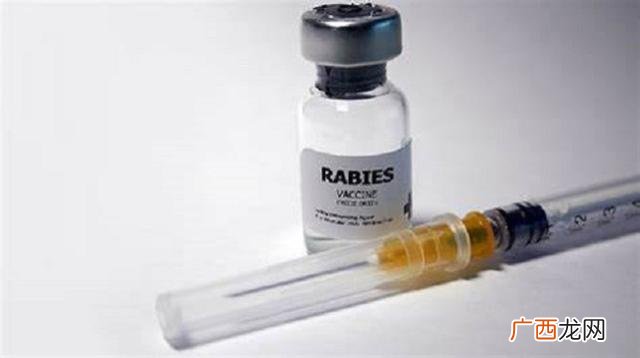 10日观察法失误过的吗,什么样的猫有狂犬病
