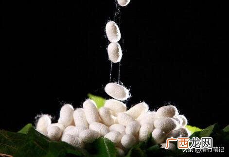 属于直接融资的有 融资是否相当于借钱