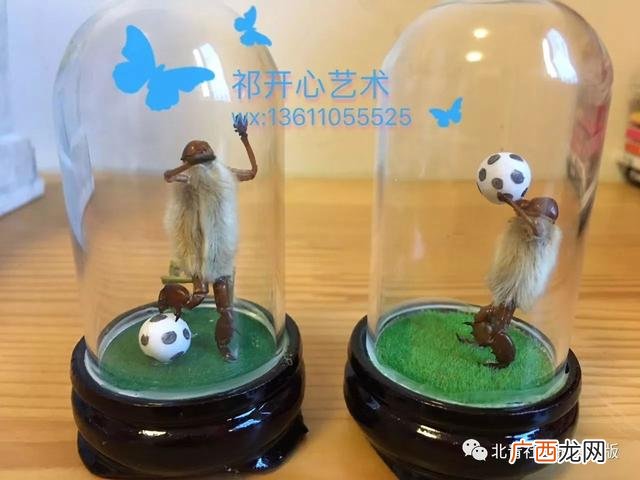 手工小制作,手工创业姐