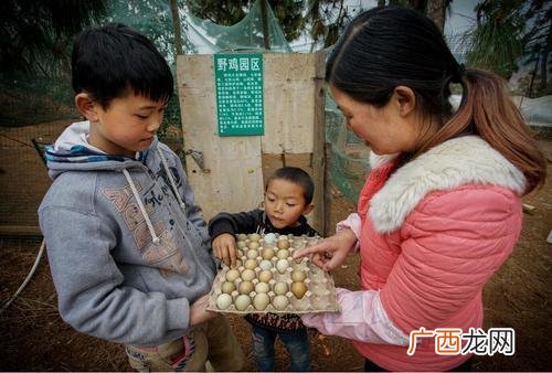 一个人单干暴利项目,适合穷人养殖创业