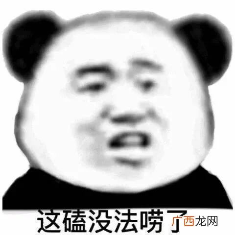 导游证报考条件 高中毕业证可以考什么资格证吗