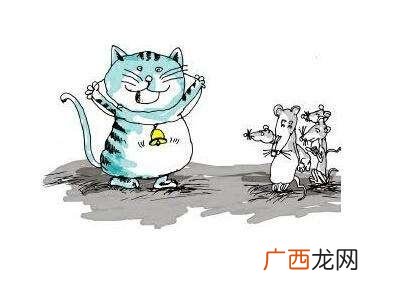 创业创新执行力是啥 创业创新执行力陆向谦答案