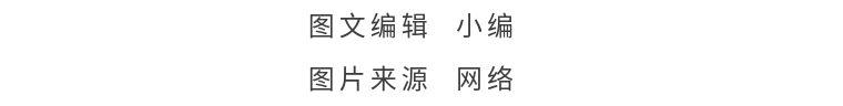app类创业计划书,旅游app的创业计划书