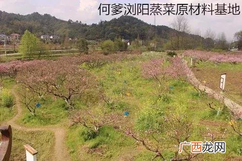 广州市有几个江南家小碗菜 江南家小碗菜加盟