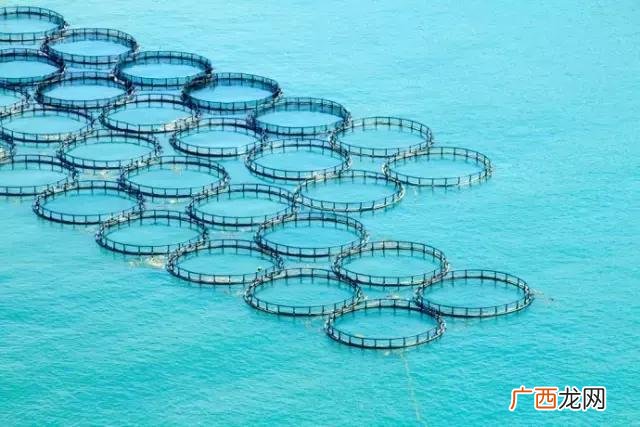 丹城到石浦,象山丹城创业路