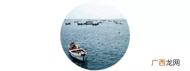 丹城到石浦,象山丹城创业路