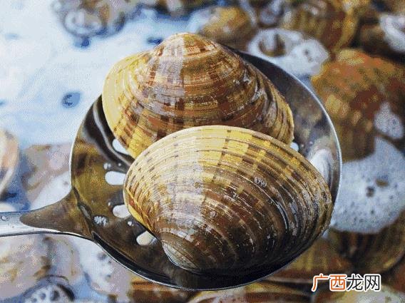 丹城到石浦,象山丹城创业路