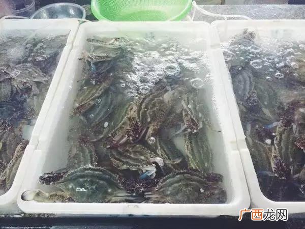 丹城到石浦,象山丹城创业路