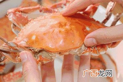 丹城到石浦,象山丹城创业路