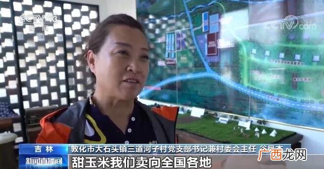 凤凰社同人 创业致富凤凰社下载