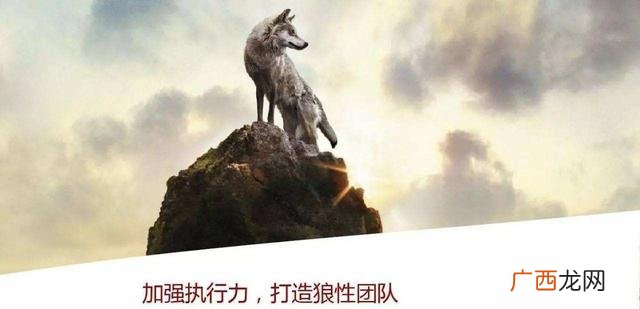 团队管理的七个要点,组建创业团队
