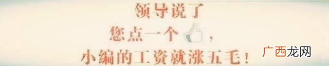小南的迷你情人 阿南创业