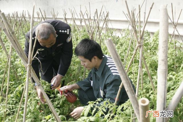 刑满释放人员创业免税 刑满释放人员创业政策