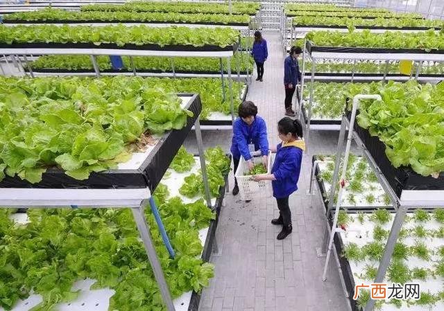 在广州做什么生意赚钱,发财小项目
