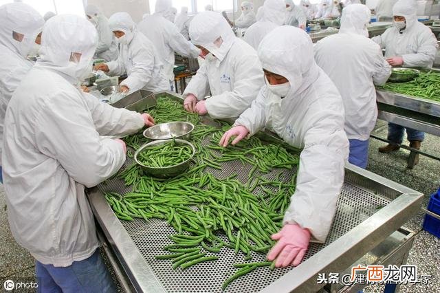 一万元小型加工厂项目,一万以内的创业项目