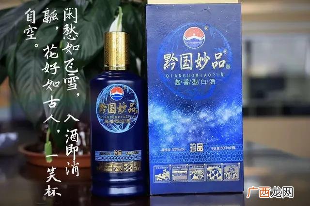 投资每天分红项目,零投资代理项目