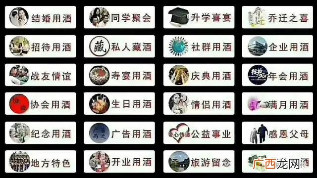 投资每天分红项目,零投资代理项目